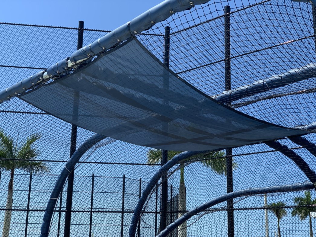 Baseball Overhead Mesh Protector - C & H Baseball