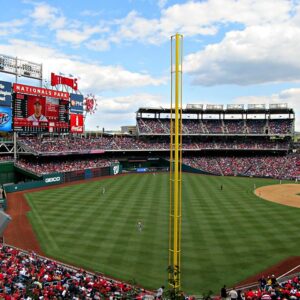 Foul Ball Pole Professional